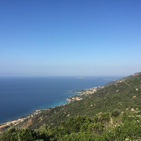 Ajaccio Magnifique T2 37M2 Centre Ville Vue Mer Au Bord De La Plage Neuf 4 Couchages Balcon Parking Prive Ferme Clim Wifi Exteriör bild