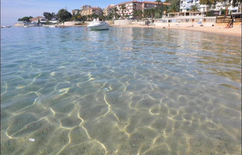 Ajaccio Magnifique T2 37M2 Centre Ville Vue Mer Au Bord De La Plage Neuf 4 Couchages Balcon Parking Prive Ferme Clim Wifi Exteriör bild