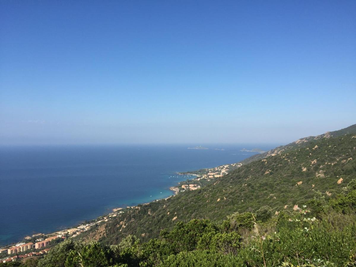 Ajaccio Magnifique T2 37M2 Centre Ville Vue Mer Au Bord De La Plage Neuf 4 Couchages Balcon Parking Prive Ferme Clim Wifi Exteriör bild