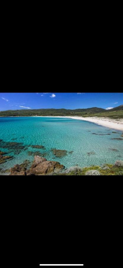 Ajaccio Magnifique T2 37M2 Centre Ville Vue Mer Au Bord De La Plage Neuf 4 Couchages Balcon Parking Prive Ferme Clim Wifi Exteriör bild